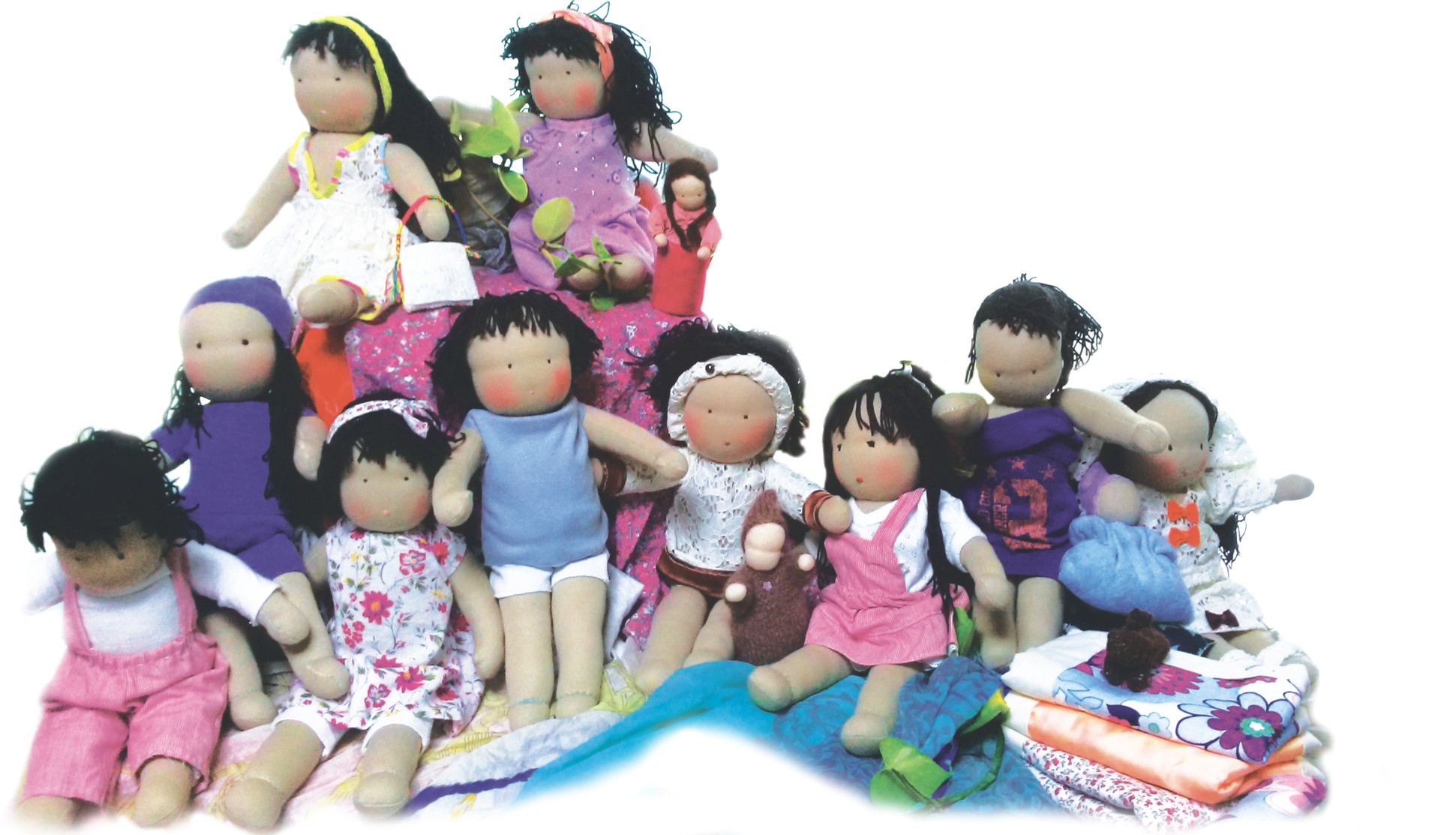 새 활동 사진